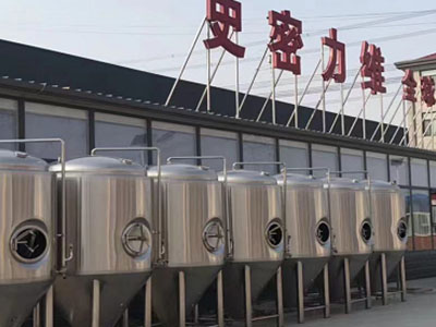 榆林精酿啤酒设备厂—市场规模与跨界新需求